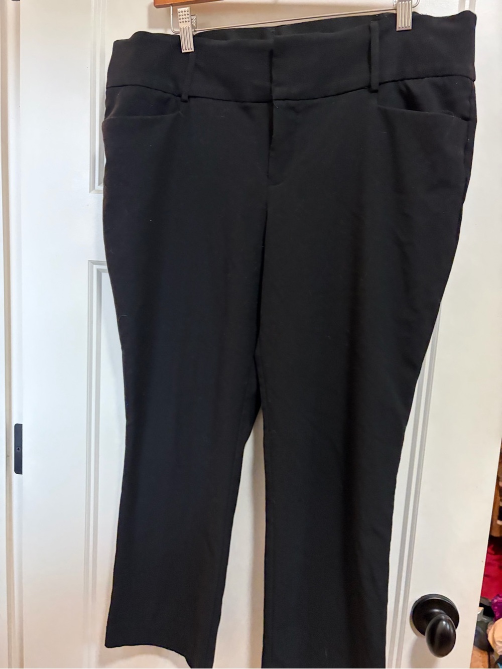 Apt. 9 Black Women's Dress Pants - Short